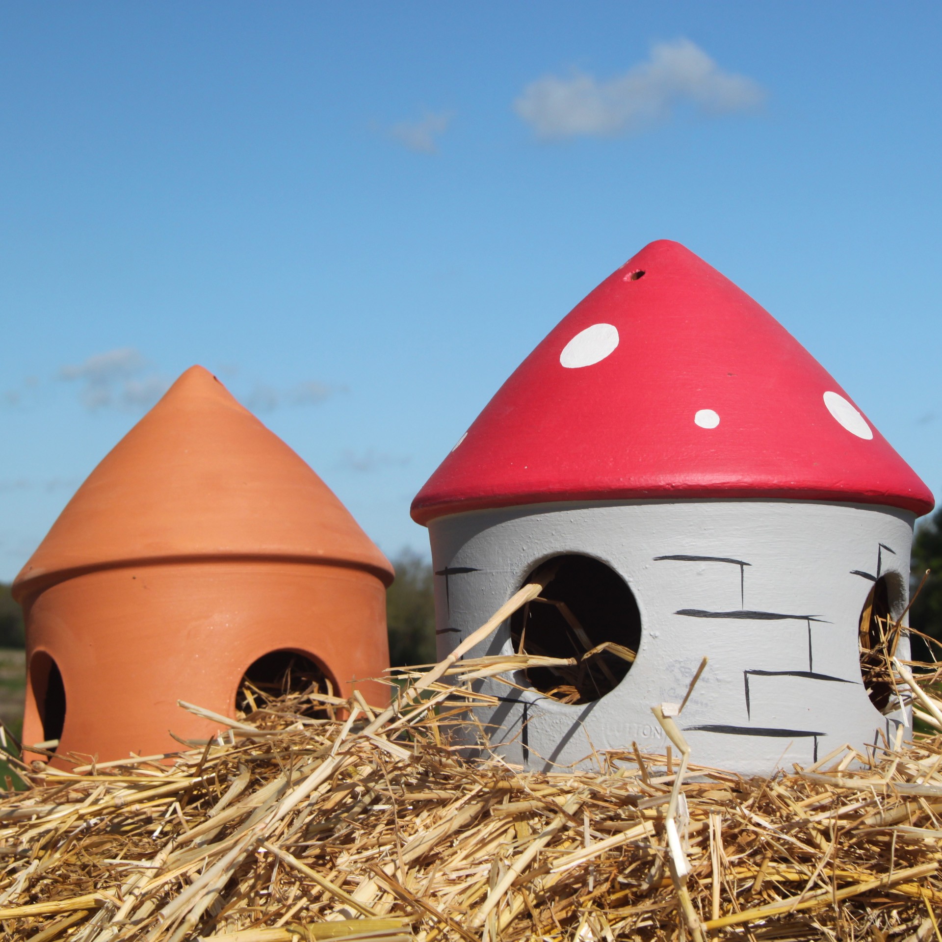 découvrez notre sélection de pots en terre cuite pour oiseaux, idéals pour décorer votre jardin tout en offrant un abri naturel à la faune. durables, esthétiques et faciles à installer, ils attirent et protègent les oiseaux toute l'année.