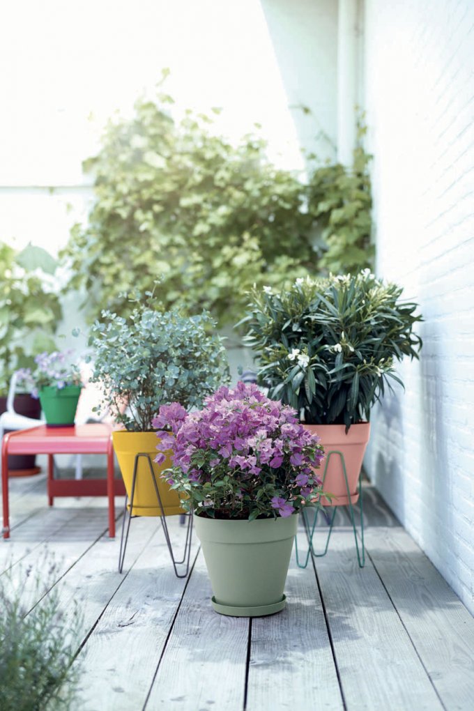 découvrez nos conseils pratiques et astuces pour transformer votre jardin à l'automne : préparation du sol, choix des plantes adaptées et idées d'aménagement pour profiter d'un espace extérieur accueillant et coloré durant la saison automnale.