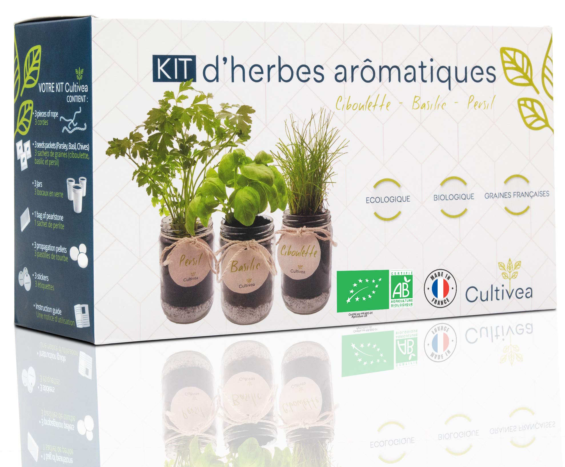 apprenez à cultiver facilement des laitues et des herbes aromatiques en bocal chez vous, pour une cuisine fraîche et saine toute l'année.