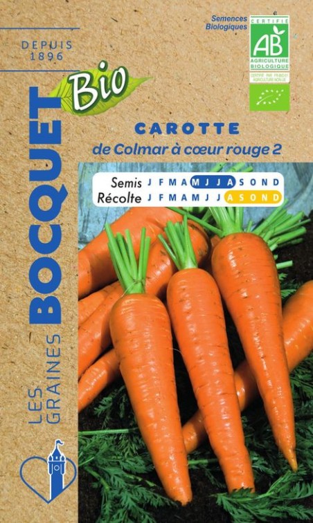 découvrez comment réussir le semis de carottes en décembre pour une récolte abondante au printemps. conseils pratiques et astuces de jardinage adaptés à l'hiver.