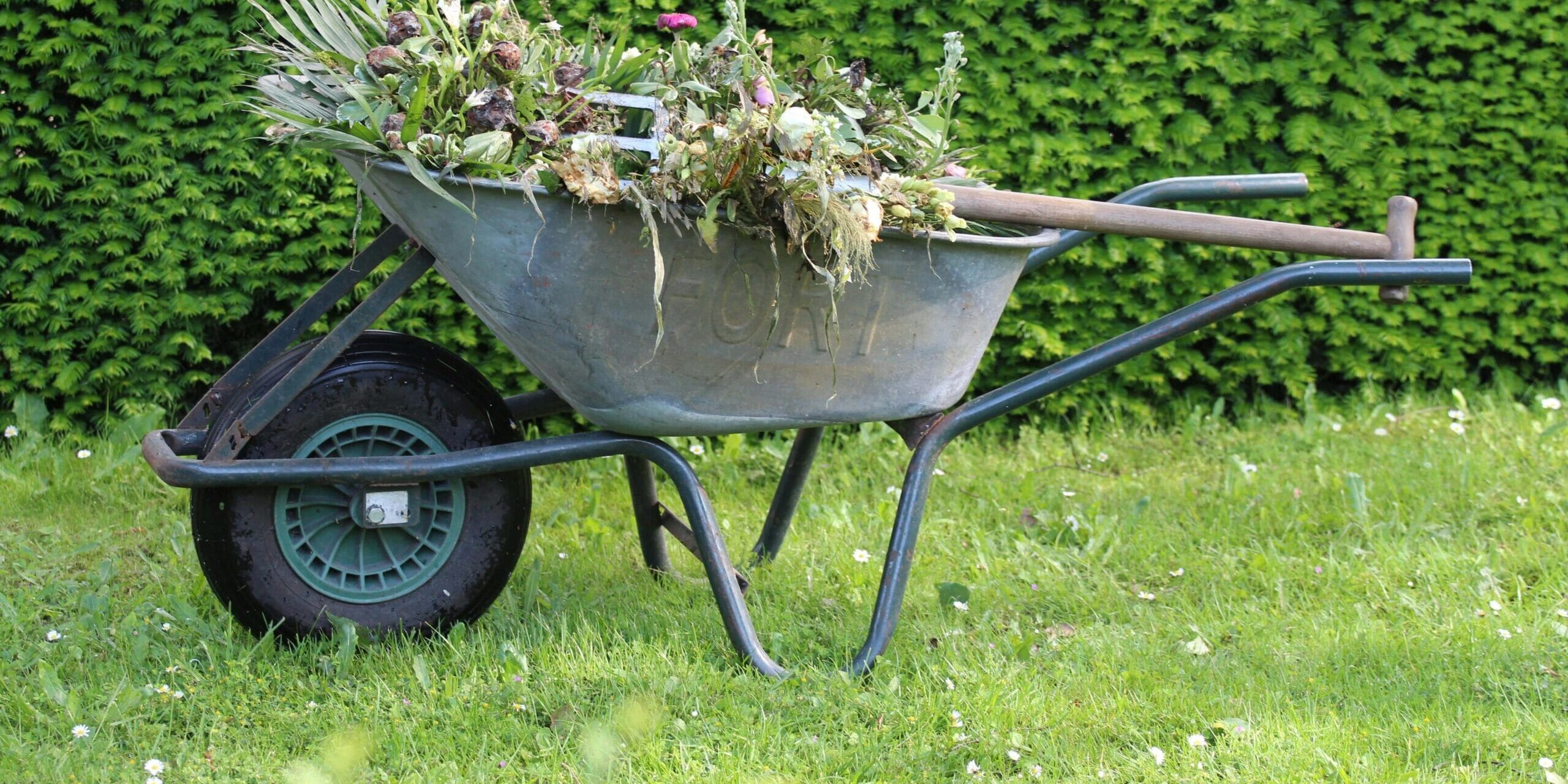 découvrez les gestes essentiels pour les jardiniers en janvier : conseils pratiques pour préparer votre jardin en hiver et assurer une belle saison.