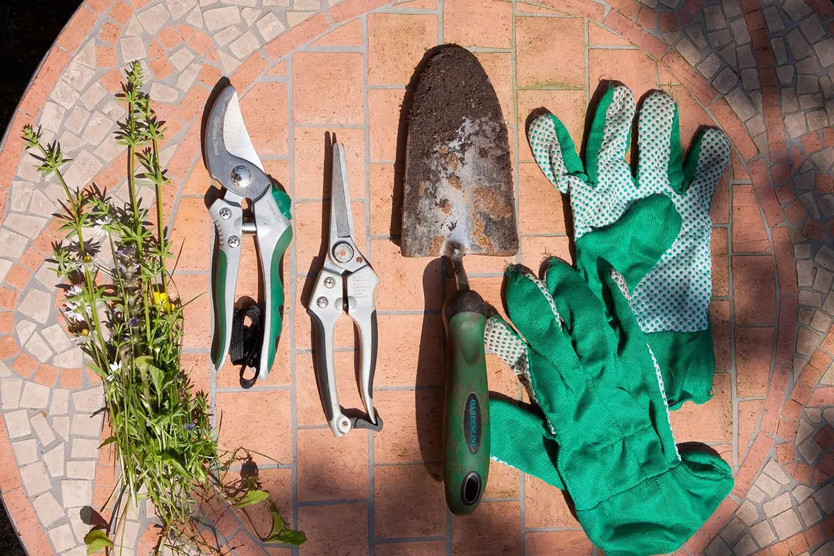 découvrez les gestes essentiels pour jardiniers en janvier afin de préparer votre jardin pour la nouvelle saison et protéger vos plantes du froid.