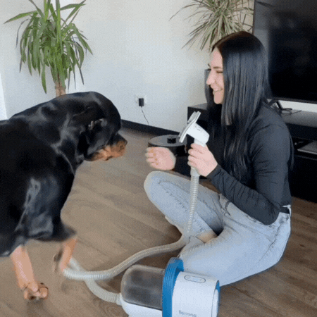 découvrez l'appareil à 69 € qui révolutionne le toilettage à domicile, alliant efficacité et simplicité pour prendre soin de vous sans effort.