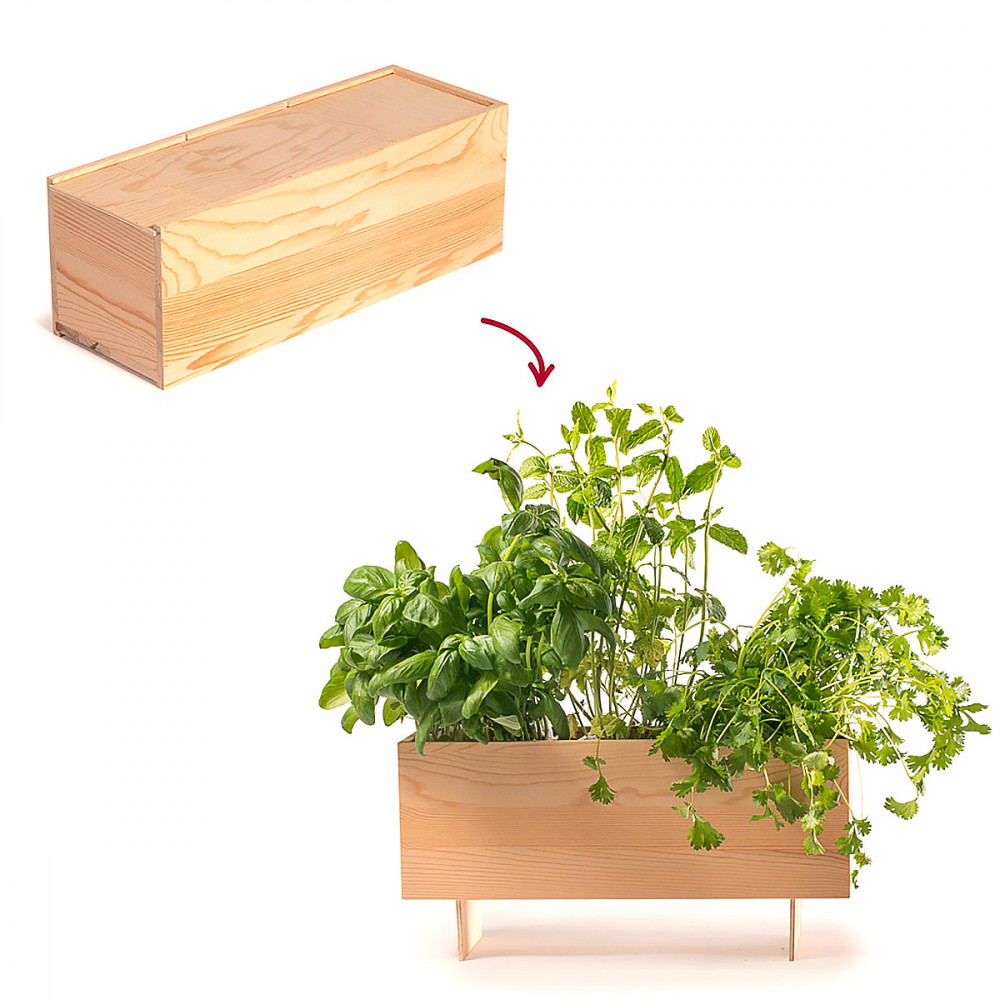 découvrez comment créer des jardinières originales à partir de boîtes recyclées pour décorer votre intérieur ou votre balcon de manière écologique et créative.