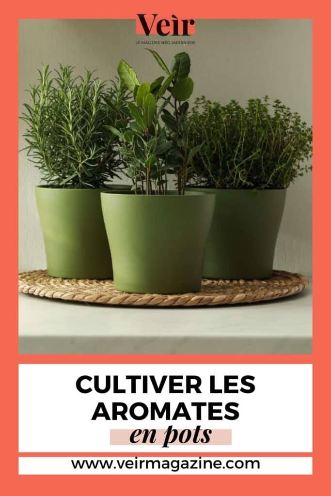 découvrez comment cultiver facilement des laitues et des herbes aromatiques directement en bocal, pour profiter de produits frais et maison toute l'année.