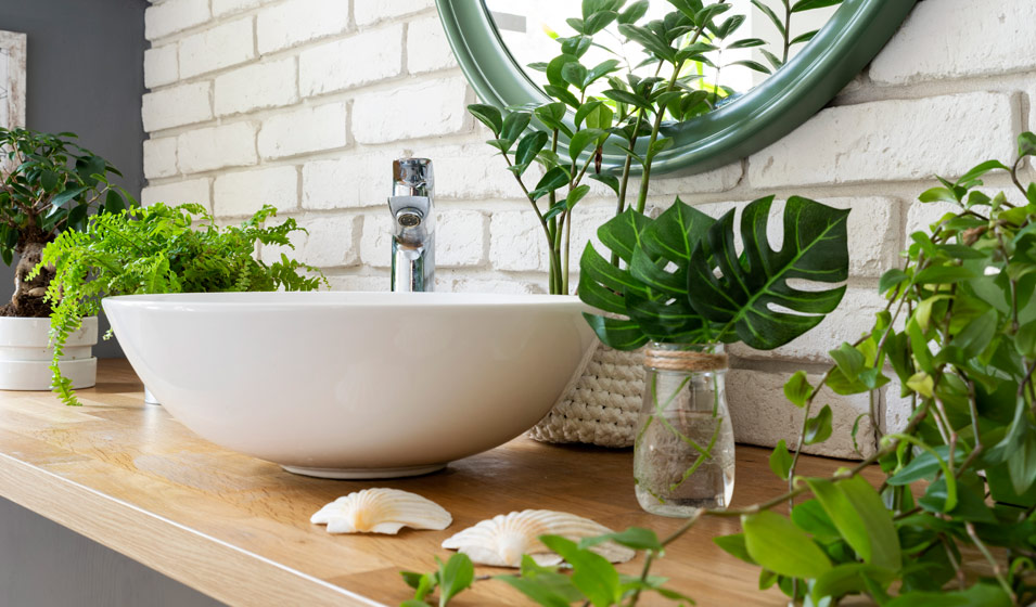 découvrez les meilleures plantes anti-humidité pour votre salle de bain, alliant esthétique et purification de l'air pour un espace sain et agréable.
