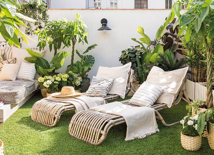 découvrez comment reconnaître les signaux des plantes d’intérieur en automne et les gestes essentiels à adopter pour leur assurer santé et beauté tout au long de la saison.