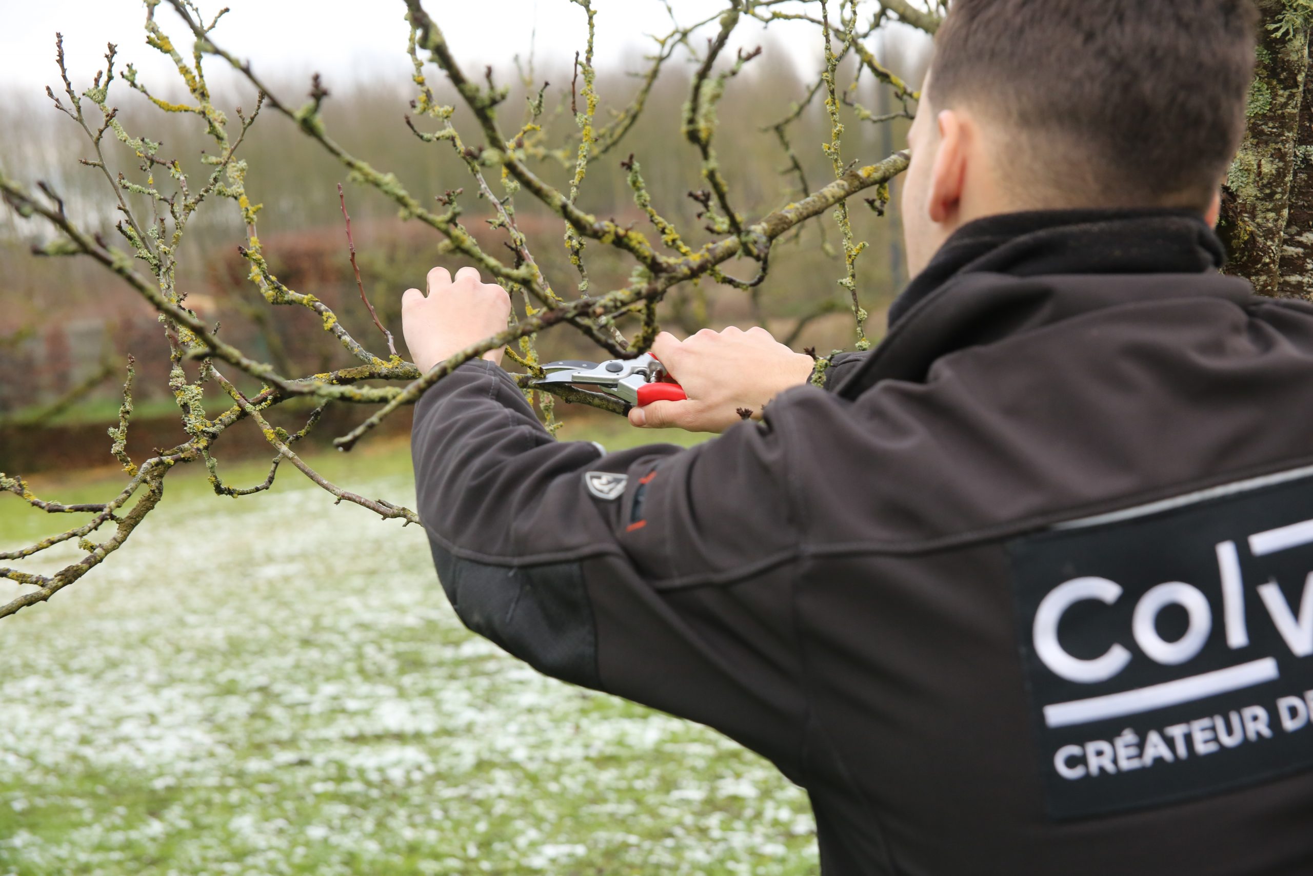 découvrez une technique ancestrale efficace pour protéger et entretenir vos arbres fruitiers durant l'hiver, assurant une meilleure croissance au printemps.